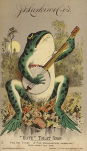 Frog Playing Banjo