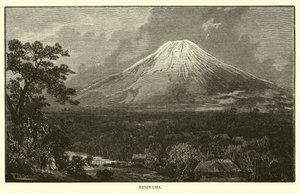 Fusiyama by American School
