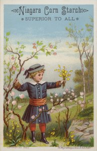 Girl Holding Bunch of Flowers in Countryside by American School