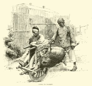 Going to market by American School