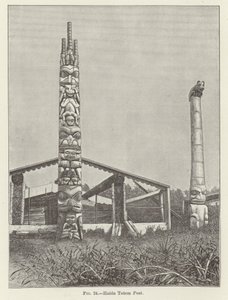Haida Totem Post by American School