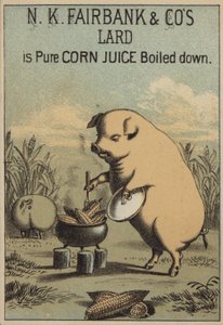 Hog Cooking Corn to Make Lard by American School