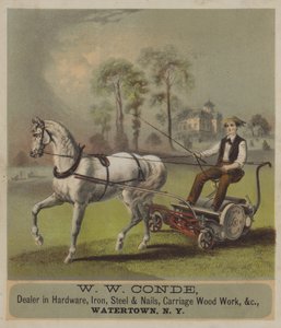 Horse pulling lawn mower