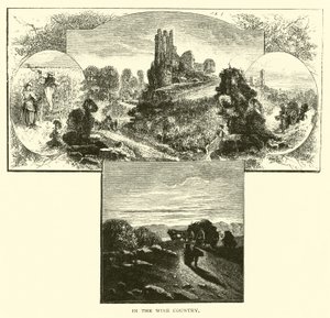 In the Wine Country by American School