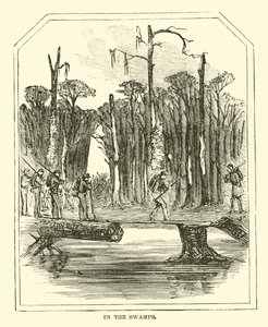 In the swamps, March 1863 by American School