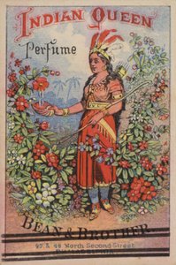 Indian Queen by American School