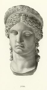 Juno by American School