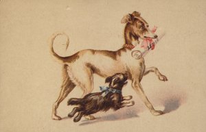 Large and Small Dog Running by American School