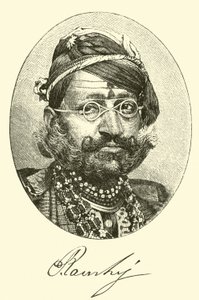 Maharajah by American School