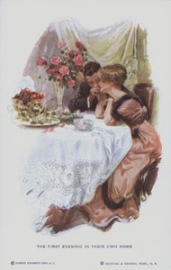 Married Couple Enjoying the First Evening in Their New Home