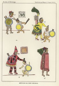 Mexican Military Insignia by American School