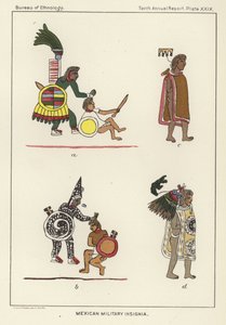 Mexican Military Insignia by American School