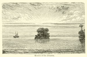 Mouths of the Amazon by American School