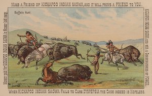 Native American Hunting Buffalo by American School