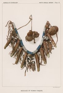 Necklace of Human Fingers by American School