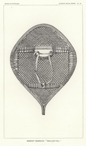 Nenenot Snowshoe - Swallow-Tail by American School