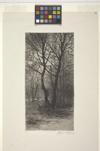 Nymphenburg Palace Garden, Near Munich by American School