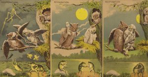 Owls