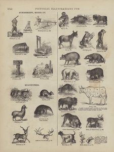 Page from Webster