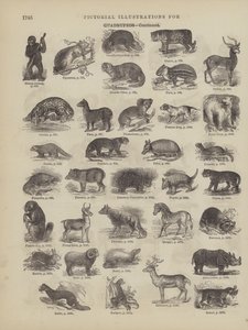 Page from Webster