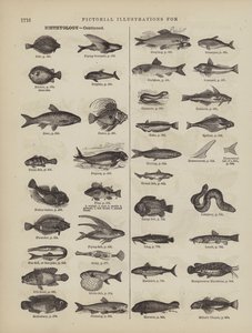 Page from Webster