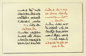 Page from a Syriac Bible by American School