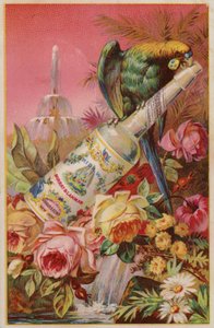 Parrot with Bottle of Water by American School