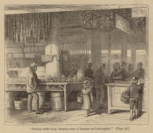Passing under long, hanging rows of bananas and pineapples by American School