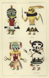 Pautiwa, Cipikne, Hakto, Caiastacana by American School