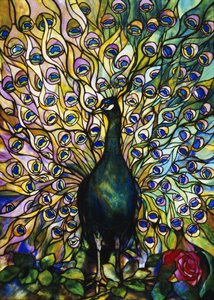 Peacock
