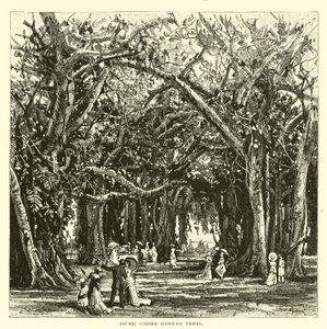Picnic Under Banyan Trees by American School
