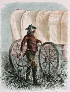 Pioneer Bullcracker holding his bull whip (engraving)