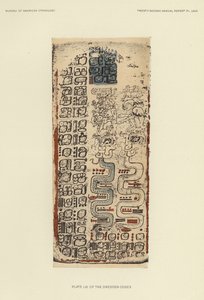 Plate LXI of the Dresden Codex by American School