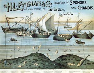 Poster advertising H.L. Ettman & Co., Importers of Sponges and Chamois, 1897