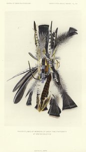 Prayer Plumes of Members of Great Fire Fraternity at Winter Solstice by American School