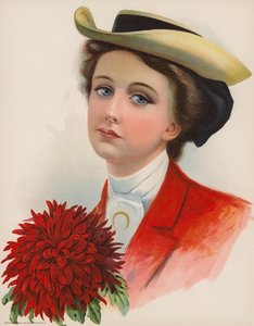 Pretty Young Woman Wearing Hat and Holding a Large Red Chrysanthemum