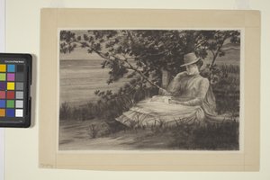 Reverie by American School
