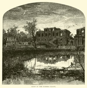 Ruins of the Summer Palace by American School