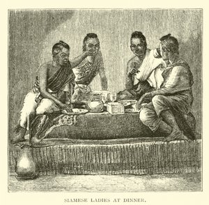 Siamese Ladies at Dinner