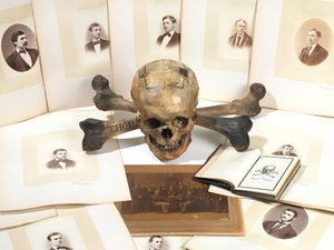 Skull-and-Bones Ballot Box by American School