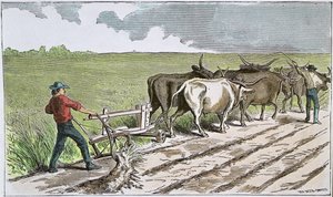 Sodbusters of the American West, c.1880