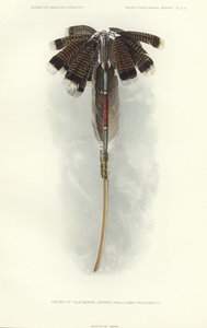 Sword of Thlewekwe (Sword Swallower Fraternity) by American School