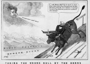 Taking the Wrong Bull by the Horns
