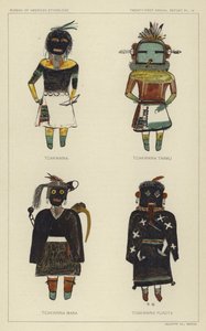 Tcakwaina, Tcakwaina Taamu, Tcakwaina Mana, Tcakwaina Yuadta by American School