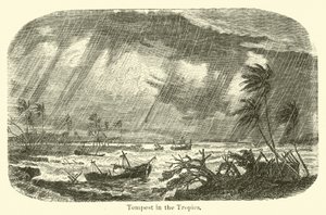 Tempest in the Tropics by American School