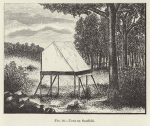 Tent on Scaffold