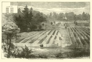 The Andersonville Burial-Grounds where were Interred 14,000 Union Prisoners, May 1865 by American School