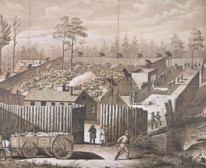 The Prisoner of War Camp at Andersonville by American School