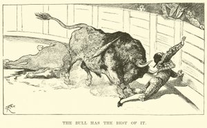 The bull has the best of it