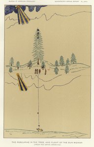 The Porcupine in the Tree, and Flight of the Sun Woman